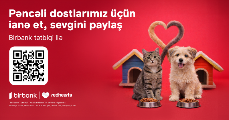 “Pəncəli Ürəklər” sahibsiz heyvanlara dəstək aksiyası uğurla davam edir